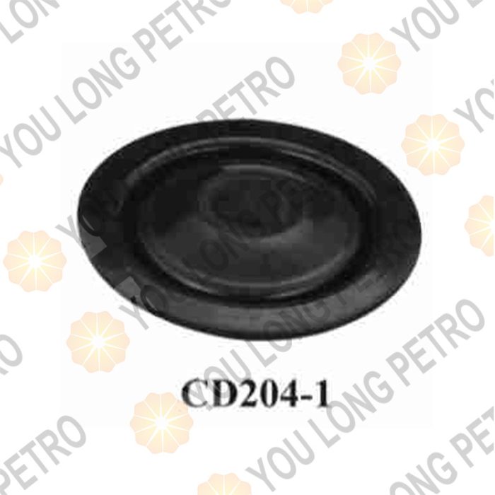 CD204-1