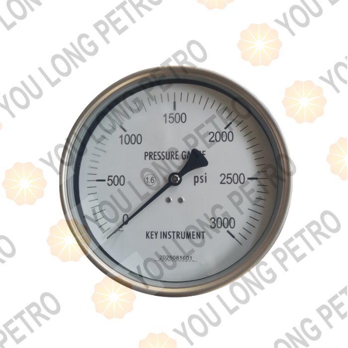 NOV MD Totco Crown Wagner SJPETRO RGPETRO Drilling Instrument JPIM DONGSU BJPM 0-2000psi pressure gauge - 图片 4