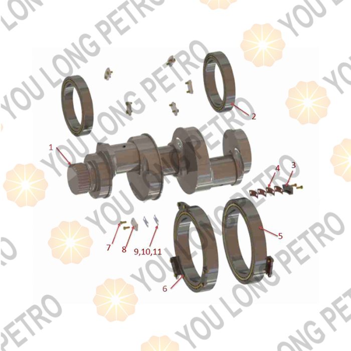 Weir SPM TWS600S TPD600 TPB600 TPC600 STP600 Pump CRANKSHAFT ASSY