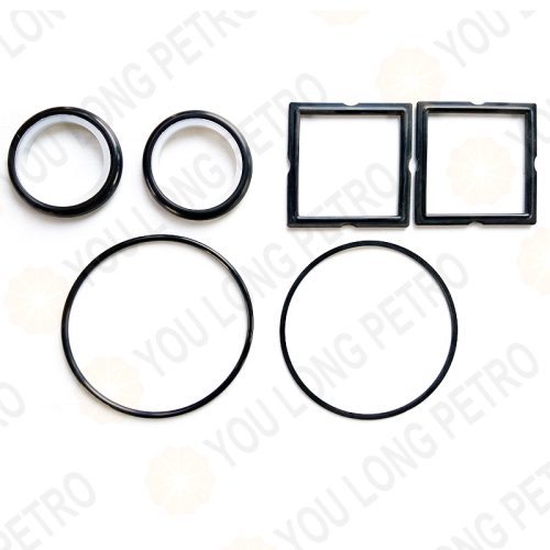 SPM 4L20948 2 Inch Plug Valve Repair Elastomer Kit