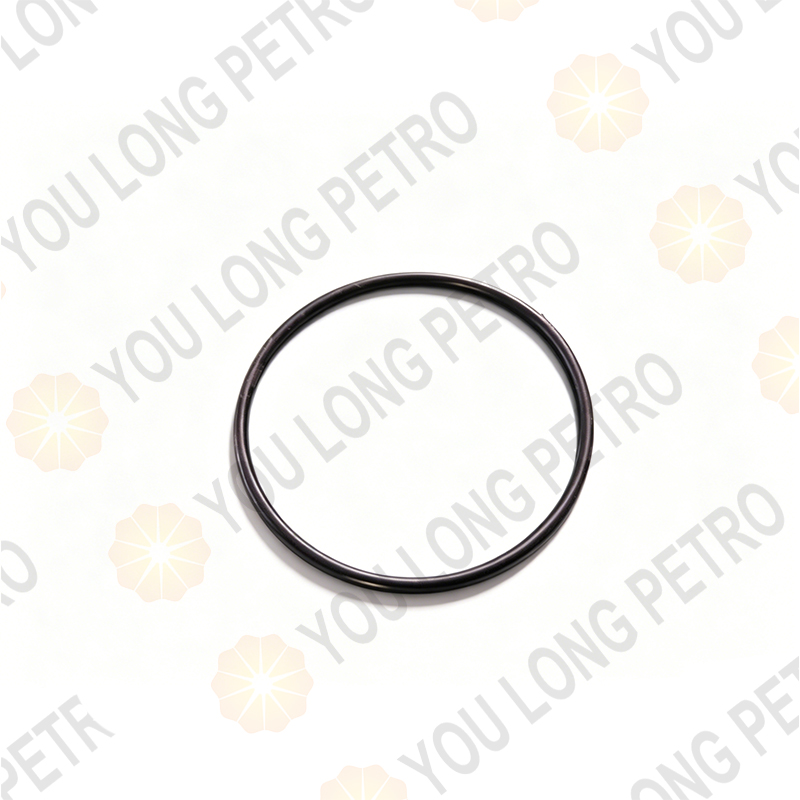 000P569244 O-RING For SERVA TPH400 Halliburton HT-400 4.5in Triplex Plunger Frac Pump Fluid End Suction & Discharge valve Replacement Parts