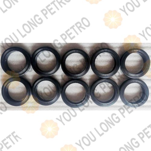 4P10229 Weir SPM Hammer Union Seal Ring 2inch FIG 1502 15000psi Repair Kit