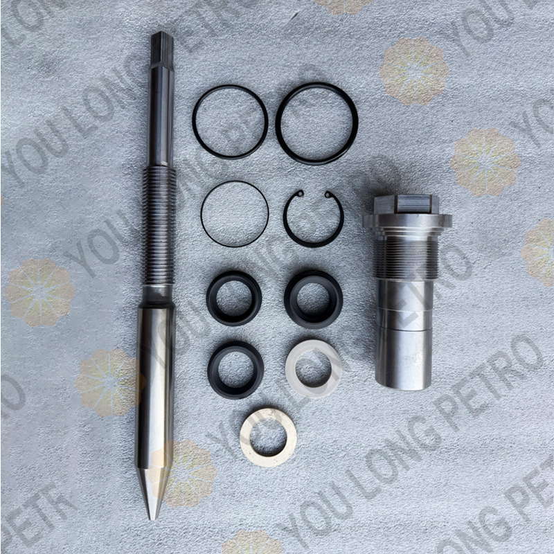 K36201100001XL SJPETRO Choke Valve Repair Kit Part Seal Kits