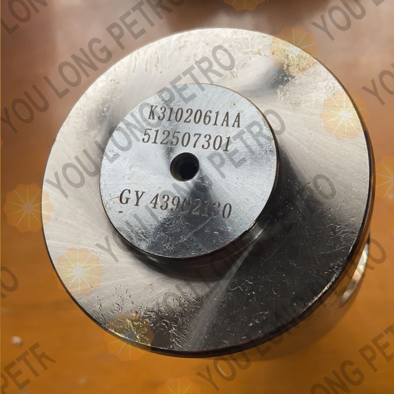 K3102061AA SJPETRO SPM FMC Plug for Plug Valve Low Torque Valve Repair Kit Part