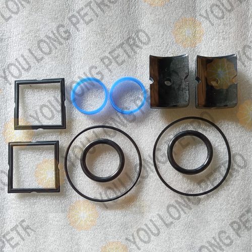 4L20575 Plug Valve Seal Kit Weir SPM Repair Kits H2S
