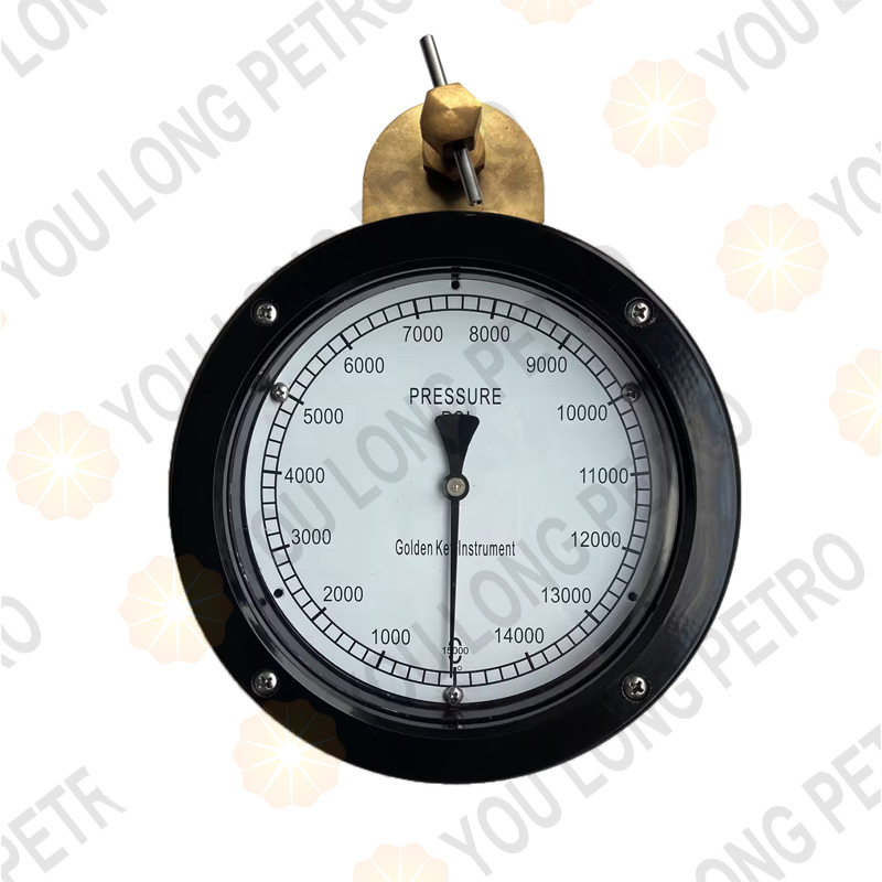 CG-602 Dual-pointer Pressure Indicator Gauge