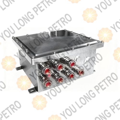 BXK66-63 Explosion -proof electrical control cabinet Video Control Host For 6 Point CCTV System