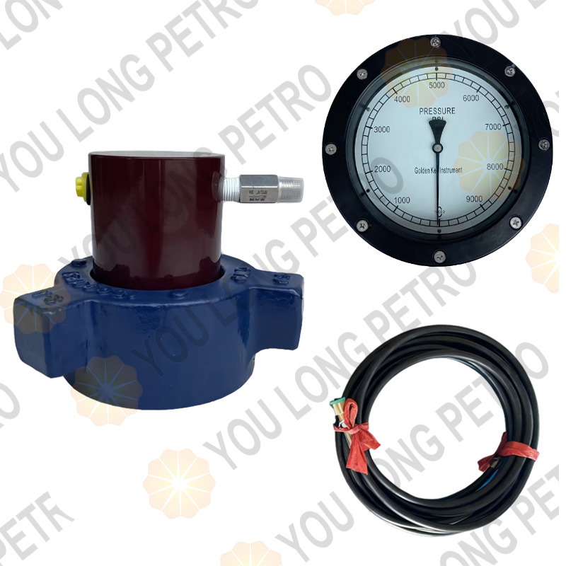 Standpipe Pressure Sensor System 10000psi