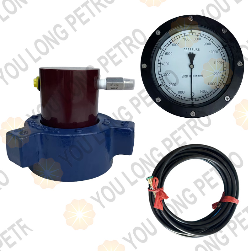 Standpipe Pressure Sensor System 15000psi
