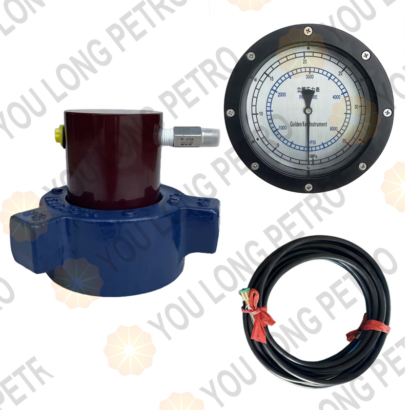 Standpipe Pressure Sensor System 6000psi
