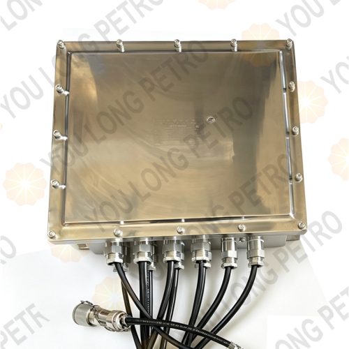BXK66-63 Electrical Control Box Explosion Proof For 6 Points CCTV System Drilling Rig