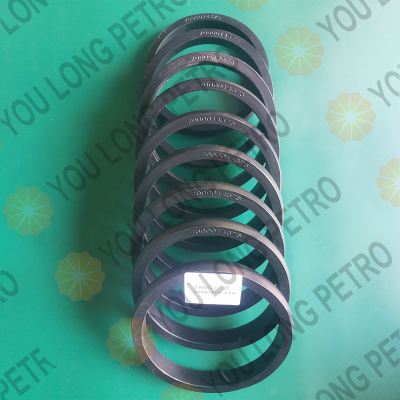 SPM TWS600S Fracturing Pump Spare Parts D Ring