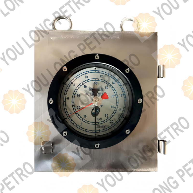 NOV MD Totco Crown Wagner SJPETRO RGPETRO Drilling Instrument JPIM SZJ-DN Tong Torque Gauge Box Mounted