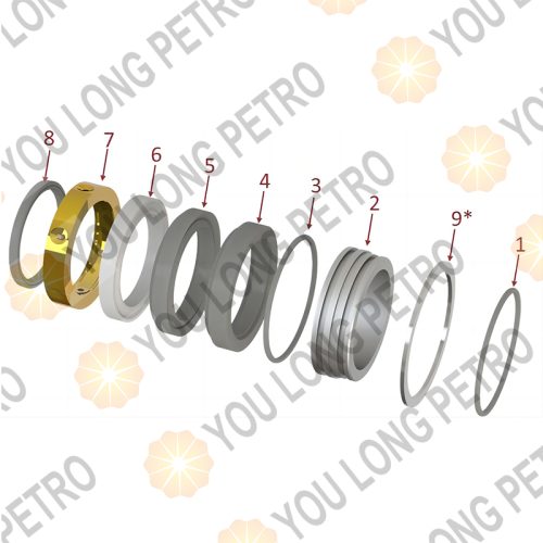 P8T0005400 4 Inch Plunger Packing Assy For Serva TPD600 Pump Parts