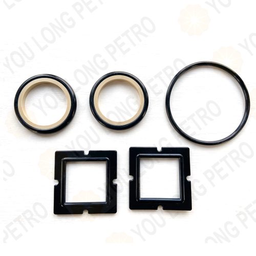 SPM 1X2inch Plug Valve Elastomer Kit 4L20947 4L20949