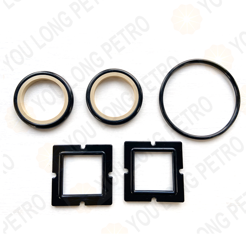 SPM 1X2inch Plug Valve Elastomer Kit 4L20947 4L20949