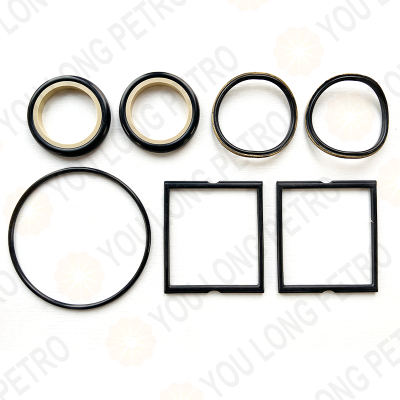 sjpetro spm fmc plug valve minor seal repair kit